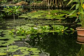 Buntes Geflatter In Jena 10